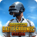 PubgMobile国际服