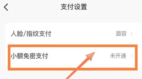 怎么开通闲鱼上的免密支付
