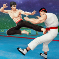空手道格斗(Karate Fighting)