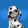 我的可爱小狗(DogWorld)