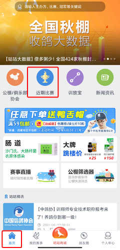 咕咕信鸽图片8