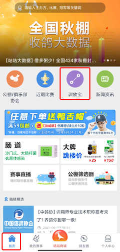 咕咕信鸽图片12