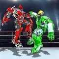 真正的机器人钢笼摔跤(Real Steel Cage Wrestling)