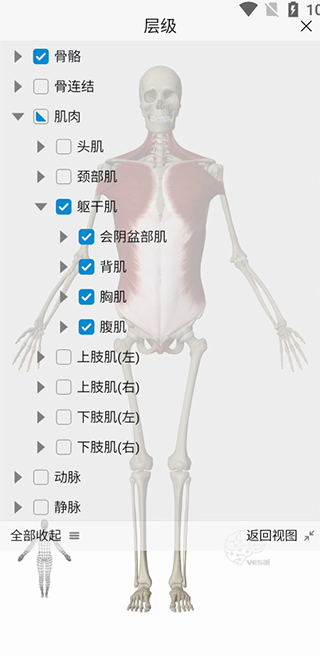 基础操作教程2