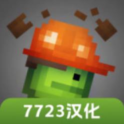 甜瓜游乐场芯片版本