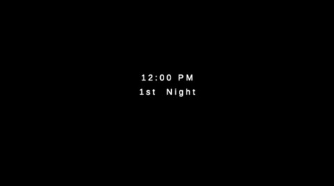 沙勒的五夜后宫2